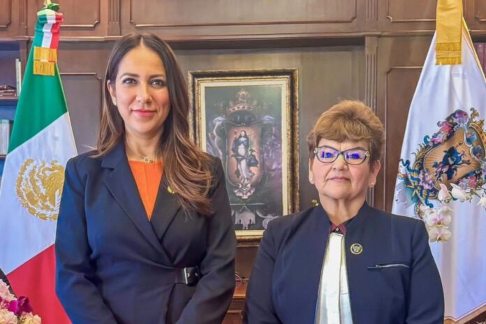 Perfil de Zucé Anastacia Hernández, la primera fiscal de Guanajuato