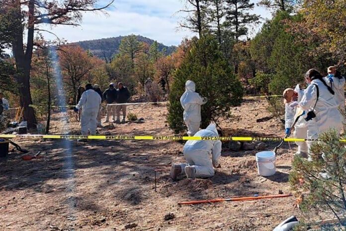 Fiscalía en Chihuahua investiga el hallazgo de 72 cadáveres en fosas clandestinas