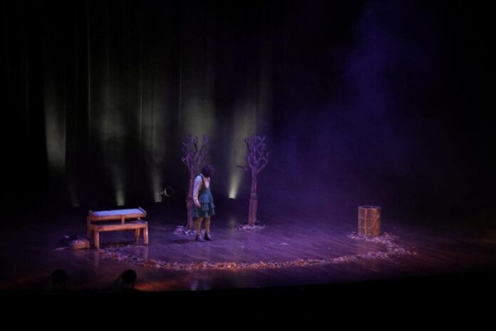 Playa del Carmen celebrará su Primer Festival Internacional de Teatro