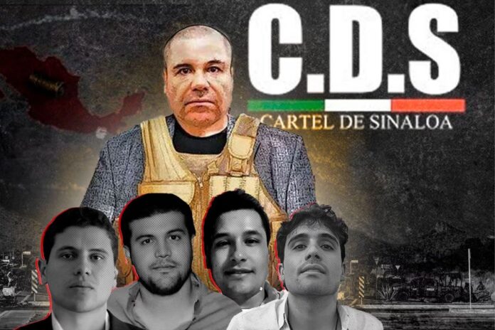 Los Chapitos bajo asedio: las capturas y traiciones que desmoronan la estructura criminal del Cártel de Sinaloa
