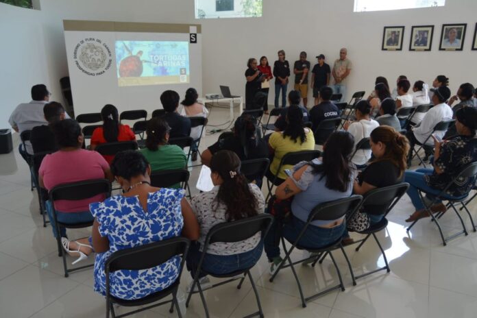 Playa del Carmen se prepara para la temporada de anidación de tortugas marinas con capacitación especializada