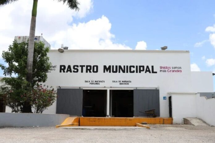 Cozumel invertirá 5.8 millones de pesos en la rehabilitación del rastro municipal para mejorar seguridad e higiene
