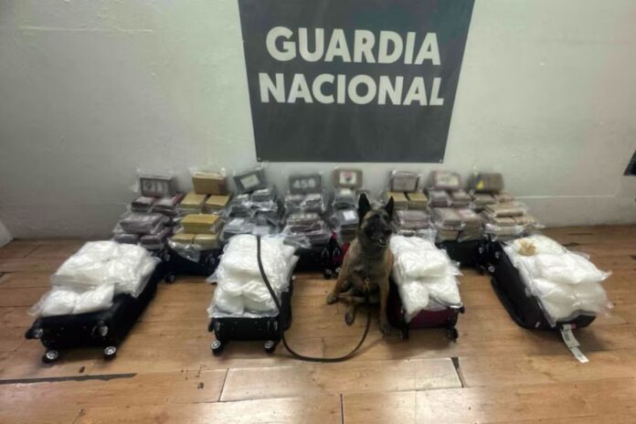 Abandonan maletas con más de 50 millones de pesos en cocaína y metanfetamina en el aeropuerto de Tijuana