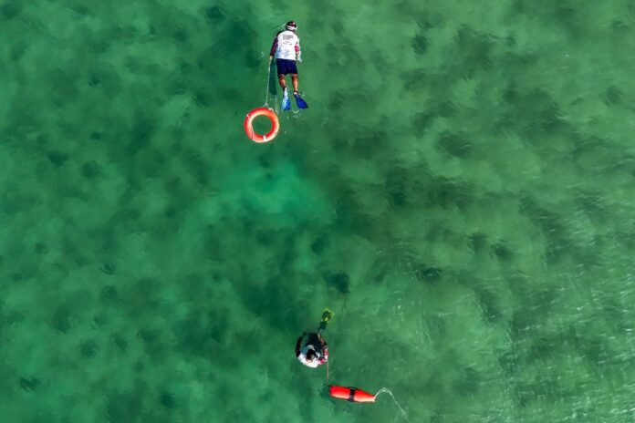 Playa del Carmen recolecta 2.5 toneladas de residuos en playas y fondo marino en el 2025