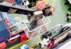 Tres muertos por hantavirus en crucero que salió de Argentina: la nave sigue varada en el Atlántico Pasajeros en cuarentena a bordo del crucero afectado por hantavirus 2026
