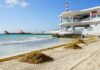 Sargazo 2026: Quintana Roo se prepara para una de las temporadas más intensas en su historia sargazo Quintana Roo 2026
