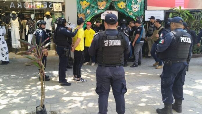 Animalandia Maya en Playa del Carmen tras operativo de autoridades