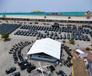 Estefanía Mercado Seguridad