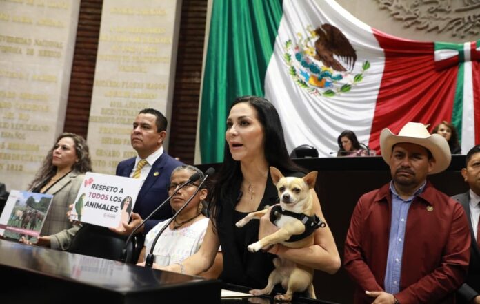 Cámara de Diputados aprueban reforma para elevar la protección y cuidado animal a rango constitucional
