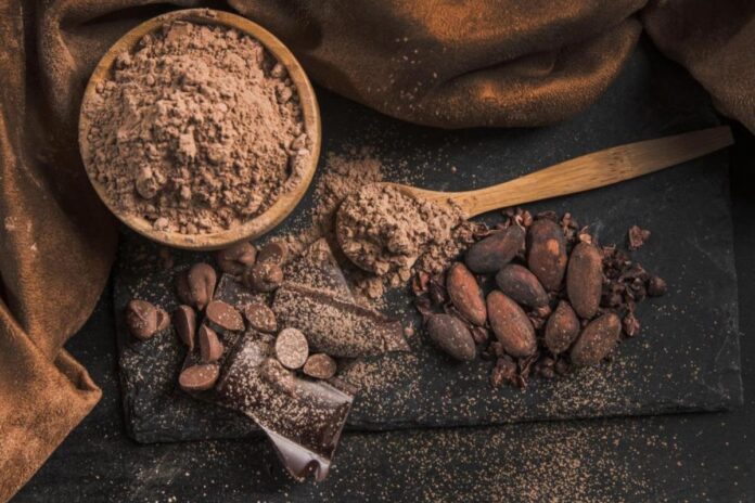 La crisis del cacao mexicano: un desafío para la historia y la economía por el cambio climático