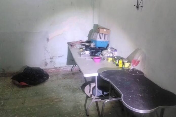 Liberan a falsa veterinaria en Coahuila tras provocar la muerte de varios animales