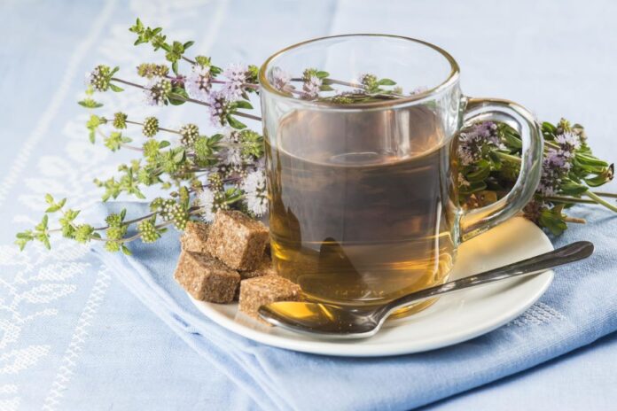 Poleo: La infusión natural para la digestión, el estrés y los resfriados