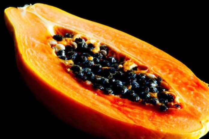 Tres licuados con papaya: el superalimento tropical que transforma tu salud