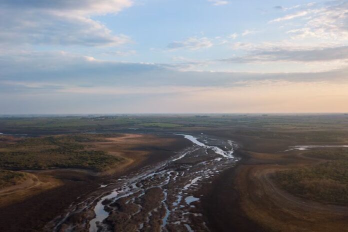 Expertos afirman que La Niña agudizará sequía en México