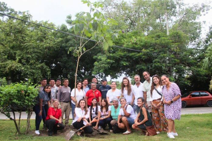 Gobierno de Playa del Carmen avanza hacia la sustentabilidad con resultados históricos en medio ambiente