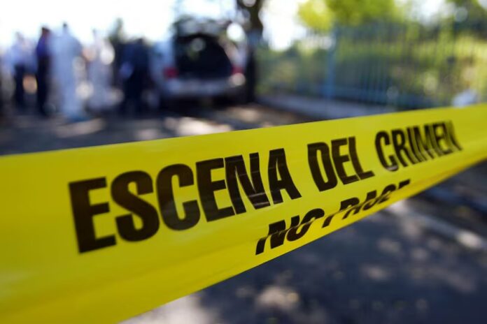 Enfrentamiento armado en Playa del Carmen deja una persona muerta y seis detenidos: activan operativo de seguridad en la zona