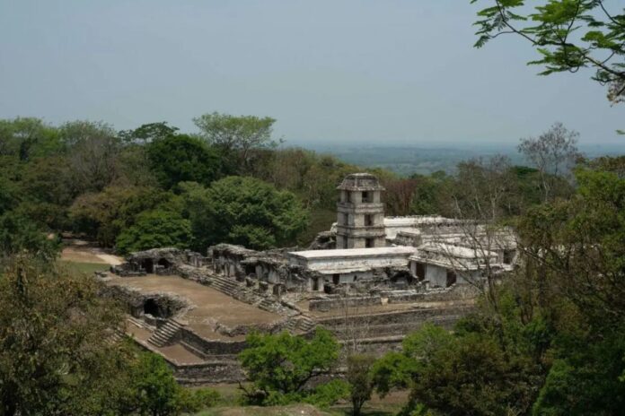 México, Guatemala y Belice lanzan campaña conjunta para prevenir incendios en la Selva Maya