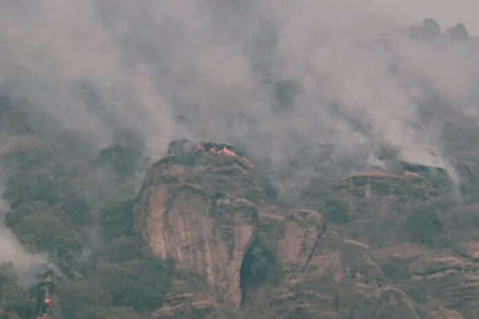 México enfrenta 123 incendios forestales activos en 28 estados: Suman más de 52 mil hectáreas afectadas