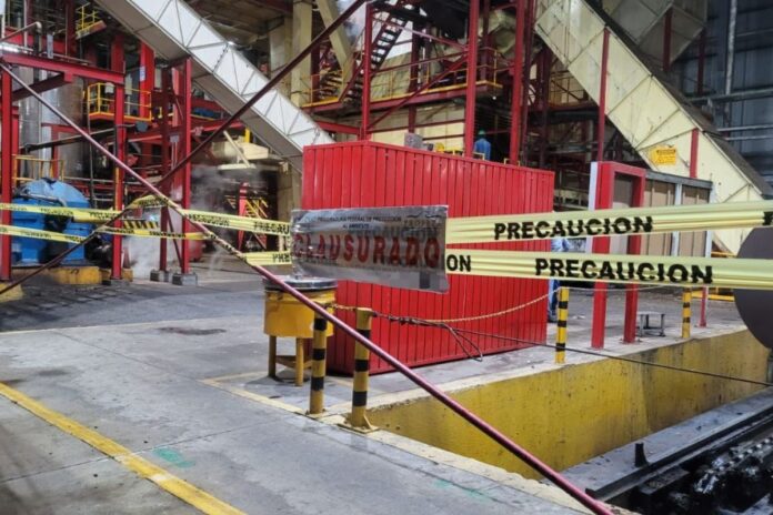 Profepa clausura parcialmente planta extractora de aceite de palma en Chiapas por irregularidades ambientales