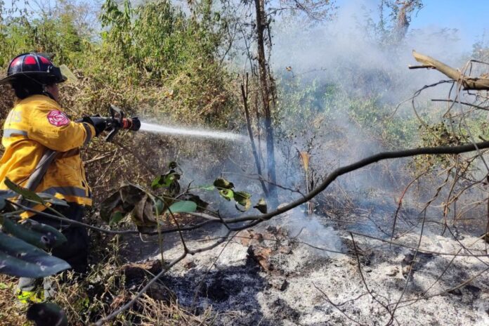 Gobierno de Playa del Carmen controla incendio en CTM y Lilis: Suman seis siniestros sofocados en diez días