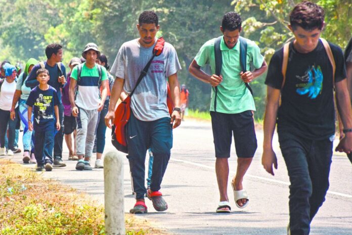 Informe advierte que mecanismos de búsqueda de migrantes desaparecidos siguen siendo insuficientes en México y Centroamérica