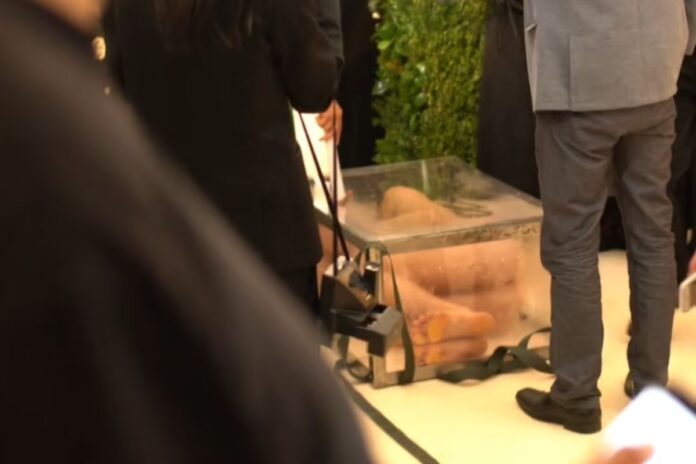 El hombre desnudo en la Met Gala 2017: performance, protesta o arte provocador