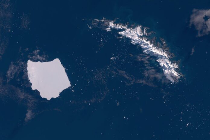 El iceberg más grande del mundo, A-23A, se desintegra lentamente cerca de Georgia del Sur