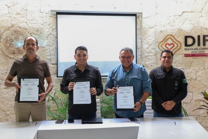 DIF Playa del Carmen y Ultramar firman convenio para ofrecer transporte gratuito a personas con discapacidad