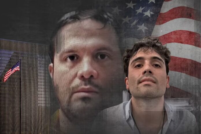 Ovidio Guzmán se declara culpable en EE. UU. y desata crisis interna en Los Chapitos