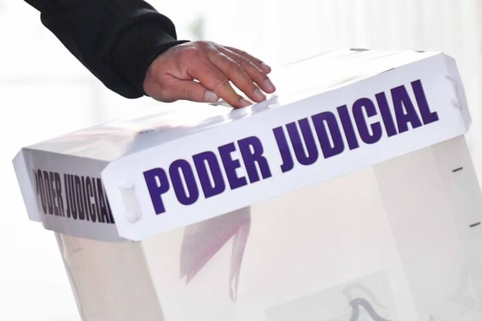 Coronas fúnebres frente a la Suprema Corte: simbolizan el rechazo a la Elección Judicial 2025