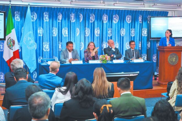 ONU: Desigualdades estructurales limitan el futuro de 40 millones de jóvenes en México