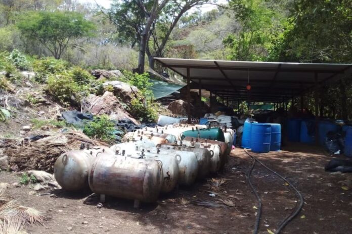 Autoridades desmantelan laboratorio clandestino en Michoacán donde había 800 kilos de marihuana y 43 de metanfetamina