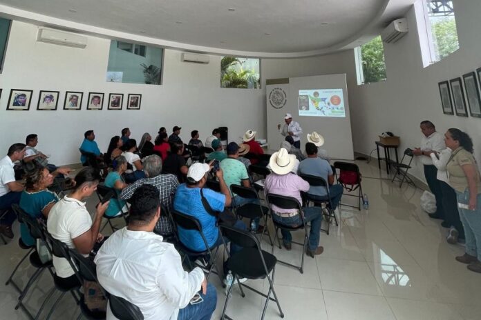 Playa del Carmen refuerza acciones preventivas contra el Gusano Barrenador del Ganado