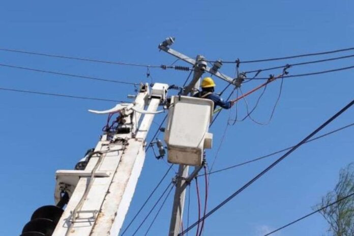 CFE confirma sabotaje en Palmas Turquesas: Estefanía Mercado exige investigación y justicia