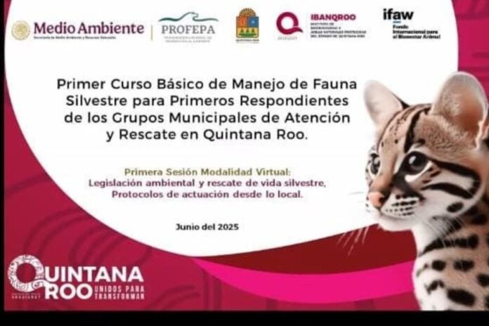 Gobierno de Estefanía Mercado refuerza protección de fauna silvestre con capacitación especializada