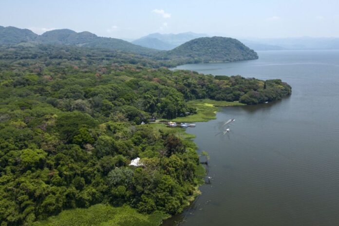 Reserva de la Biosfera Los Tuxtlas: acorralada por minería y deforestación para abastecer al Tren Maya