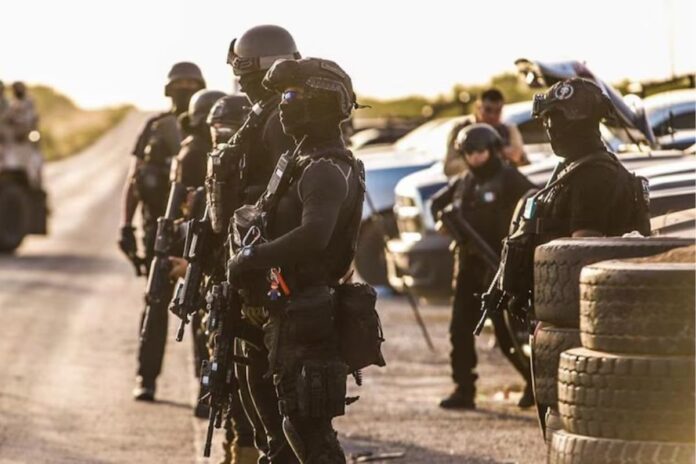 Academia Nacional de Seguridad Pública: Nueva institución para formará policías y mandos especializados
