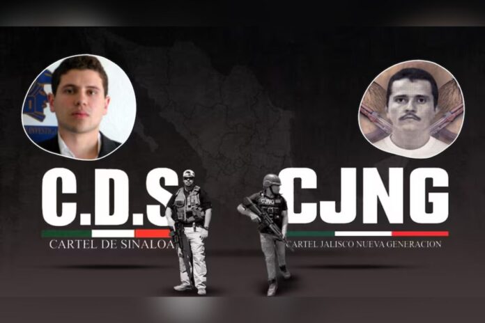 David Saucedo: CJNG brinda apoyo táctico a Los Chapitos en Sinaloa