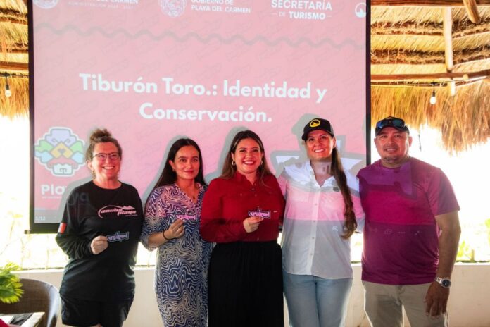 Tiburón Toro Fest 2025: Playa del Carmen celebra su emblema marino con un festival de identidad, conservación y turismo sostenible