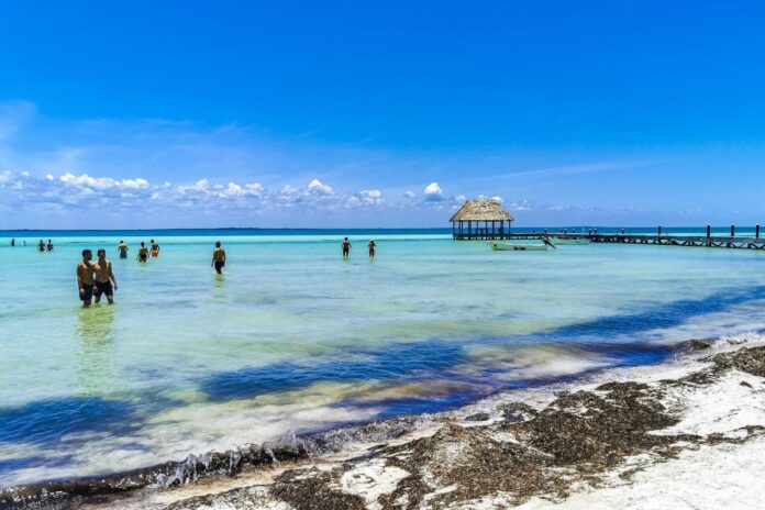 Profepa clausura construcciones ilegales en Holbox por daños al Área de Yum Balam