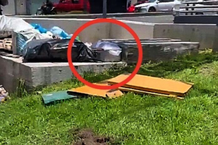 Hallan féretro de bebé abandonado en avenida Constituyentes, CDMX