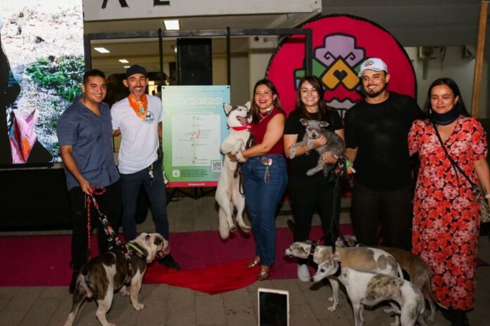 Gobierno de Playa del Carmen celebra con éxito la primera edición del 