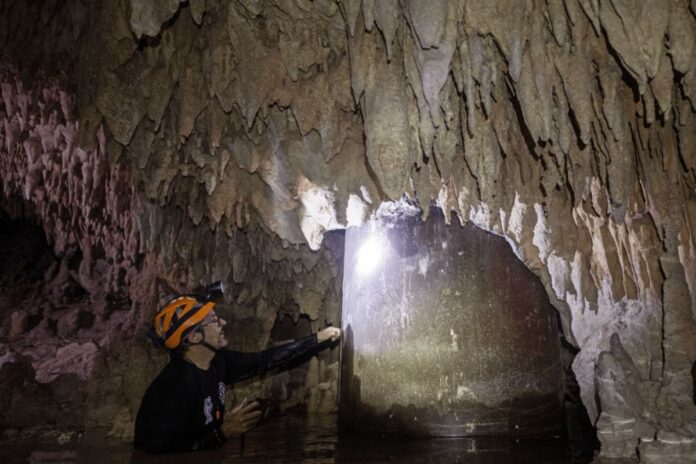 Tribunal de los Derechos de la Naturaleza ratifica sentencia de ecocidio contra el Tren Maya