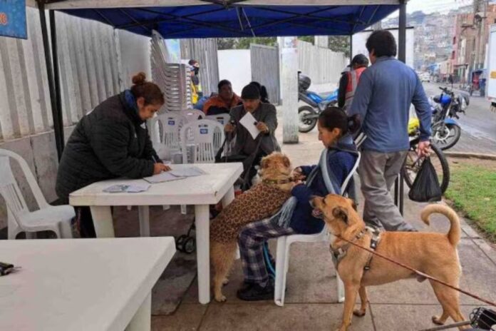 Primera ceremonia de bendición de animales en La Victoria: Un homenaje a San Francisco de Asís