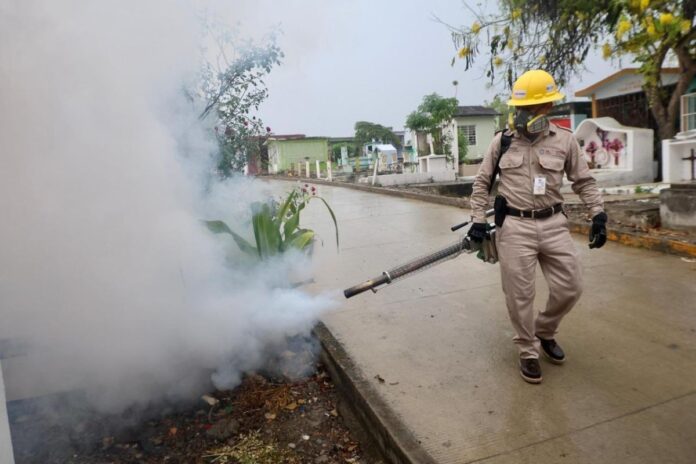 Lucha frontal contra el dengue en Playa del Carmen: Operativo de nebulización y descacharrización