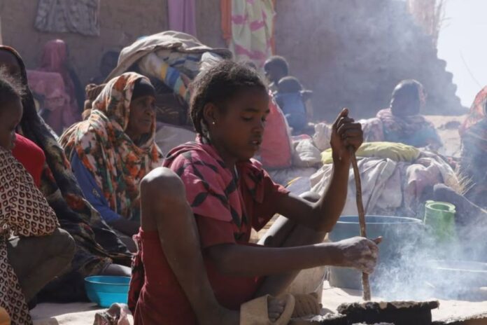 Masacre en El Fasher: Atrocidades y colapso humanitario en Sudán Masacre en El Fasher: Atrocidades y colapso humanitario en Sudán