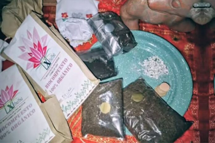 Fiscalía de Quintana Roo investiga fraude en crematorio de mascotas en Chetumal