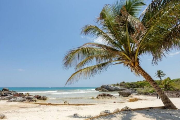 Nuevos accesos públicos y gratuitos a playas de Tulum