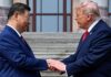Trump y Xi Jinping se reúnen en Pekín: cumbre histórica entre EE.UU. y China en medio de tensiones por Irán y Taiwán El presidente Donald Trump y el presidente Xi Jinping se saludan durante su cumbre bilateral en Pekín, China, el 14 de mayo de 2026