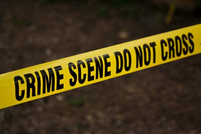 Operativo de emergencia en edificio residencial de Puerto Cancún tras la caída de una adolescente.